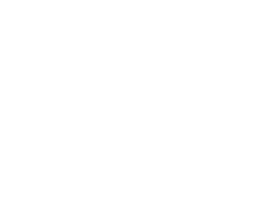 TTN Logo - The Things Network Labs