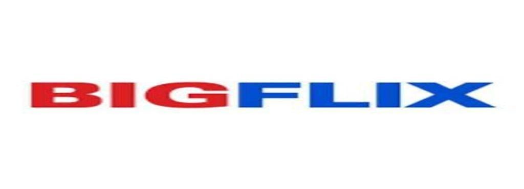 BIGFlix Logo - Bigflix Stores, Aundh - Video CD Libraries in Pune - Justdial