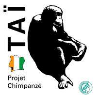 Chimpanzee Logo - Dept. of Primatology. Chimpanzees. Field sites. Taï Chimpanzee