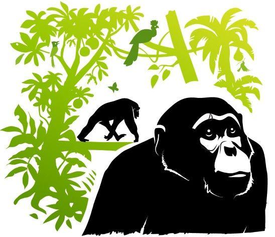 Chimpanzee Logo - What sparks fights between chimpanzee communities? | Kibale ...