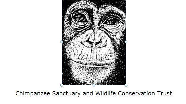 Chimpanzee Logo - An Opportunity to Become a Board Member - Ngamba IslandNgamba Island