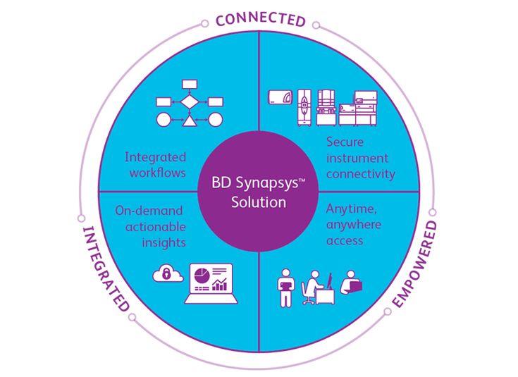 Synapsys Logo - synapsys-solution-diagram_no-id.jpg