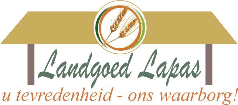 Thatch Logo - Lapa's and Thatch Roofs – Klerksdorponline