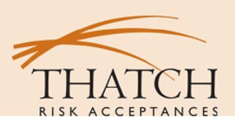 Thatch Logo - Risk Management key during SA's summer fire season