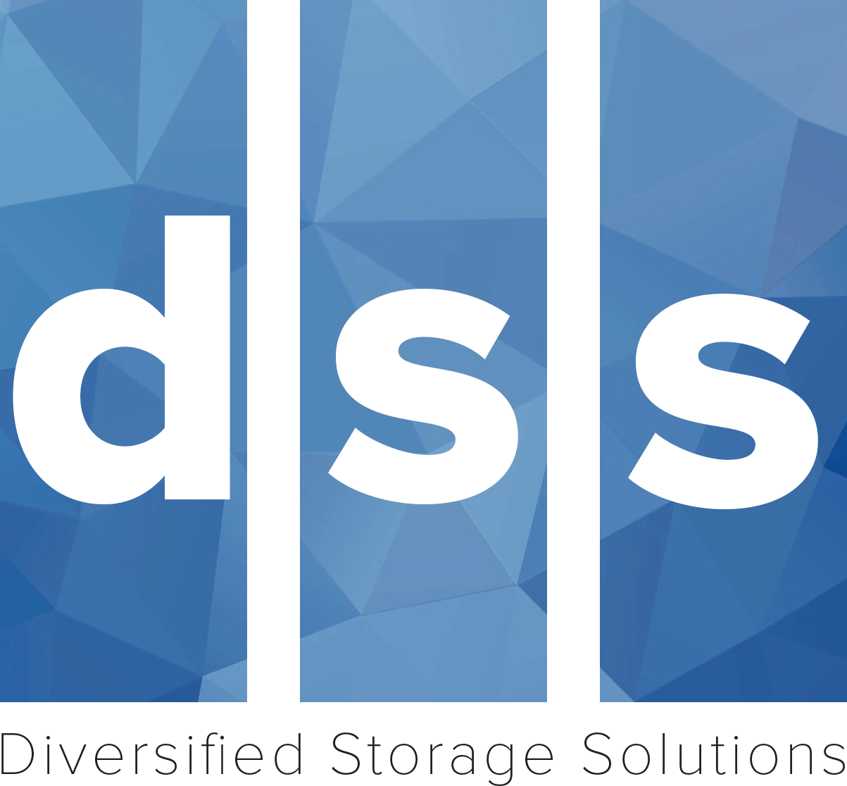 Dssi Logo - Privacy Policy | Diversified Storage Solutions
