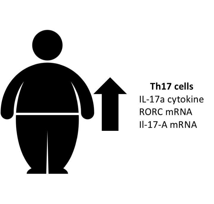 Overweight Logo - Elevated Th17 cells in healthy overweight children