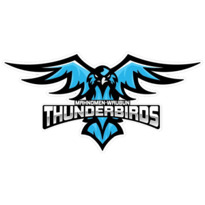 Waubun Logo - Mahnomen-Waubun Thunderbirds | 2019 Football Boys | Digital Scout ...