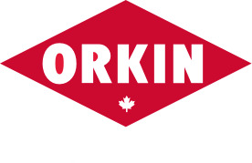 Orkin Logo - Orkin Canada | Pest & Wildlife Control Services