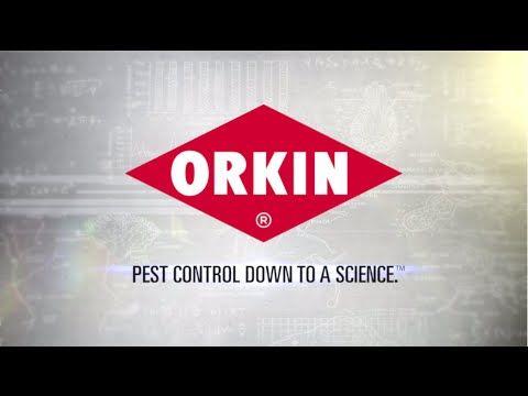Orkin Logo - Orkin Logo The Orkin Truck. Orkin Alex Pellegrini Portfolio. Orkin ...