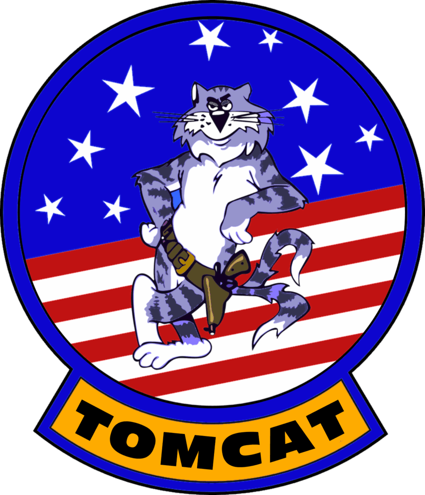 F-14 Logo - Grumman F-14 Tomcat Flight Insignia by viperaviator | Pride and ...