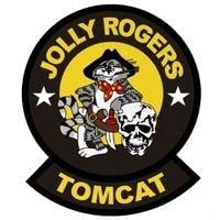 F-14 Logo - F-14 TOMCAT Flottilles US NAVY