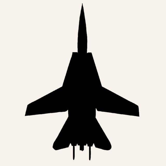 F-14 Logo - US $22.0 |Wholesale 20pcs/lot F 14 Fighter Car Sticker Pilot Fly Aircraft  Jet Bomber Combat fighter Vinyl Decal For Truck Window Bumper on ...