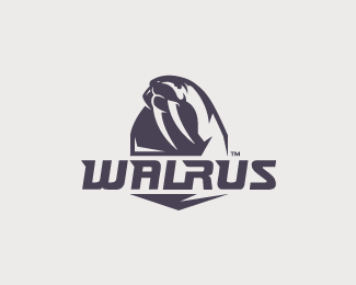 Walrus Logo - Logopond - Logo, Brand & Identity Inspiration (Walrus)