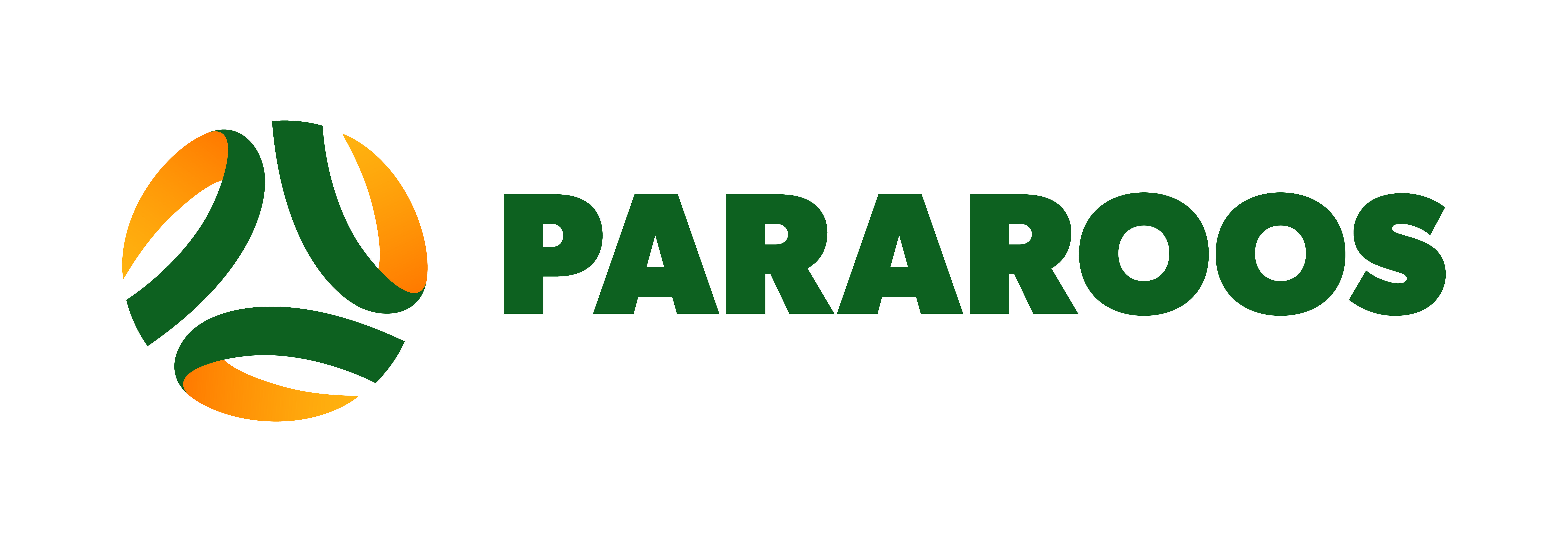 Socceroos Logo - Pararoos get fresh look ahead of Spain quest | Pararoos