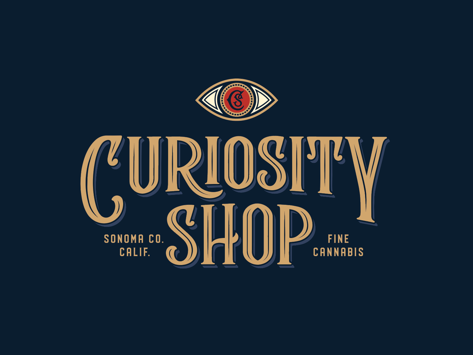 Curiosity Logo - Curiosity Shop by Kristin Yeh on Dribbble