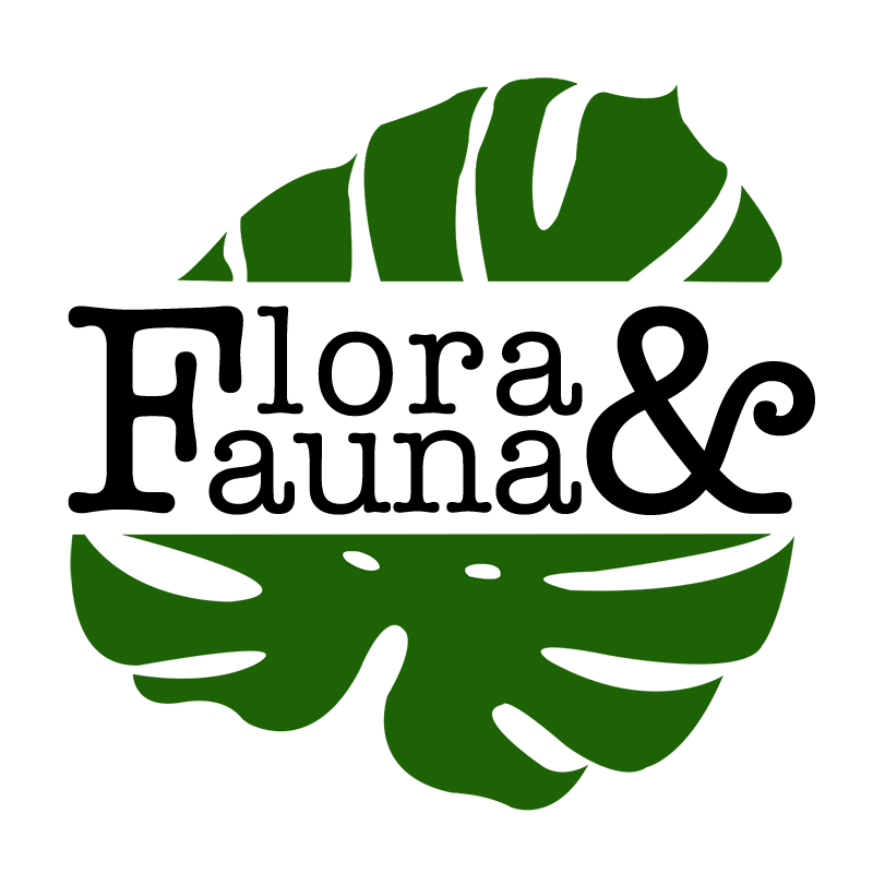 Flora Logo - Briefbox