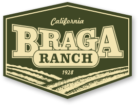 Braga Logo - Braga Ranch