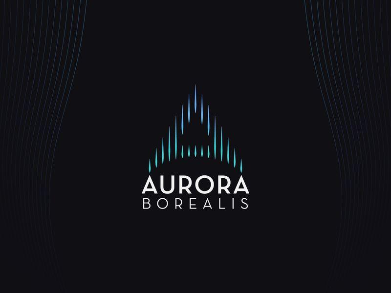 Borealis Logo - Aurora Borealis Logo Design by Dragisa Milenovic on Dribbble