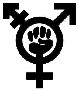 Feminist Logo - Transfeminism