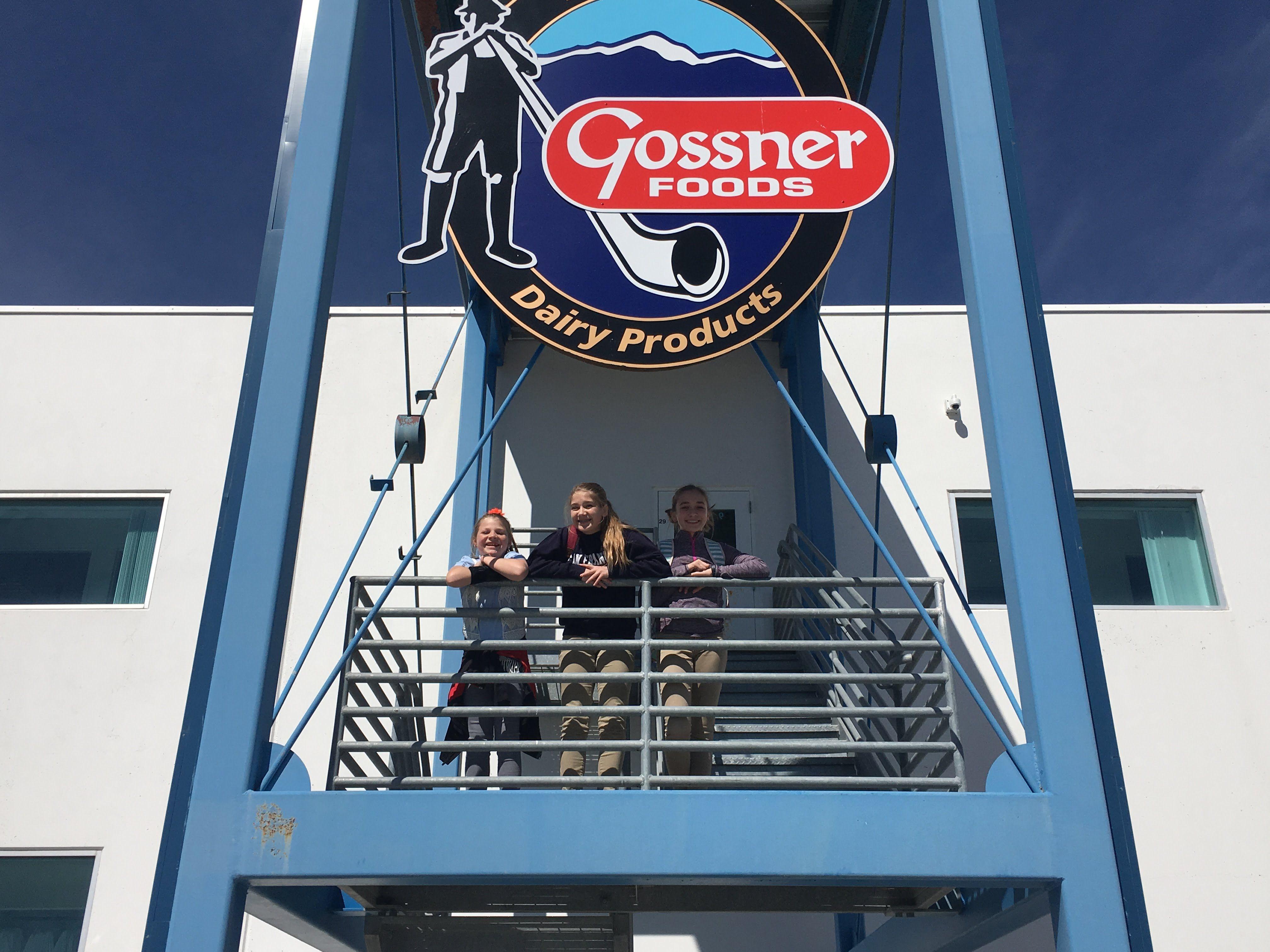 Gossner Logo - Fieldwork to Gossner's Factory