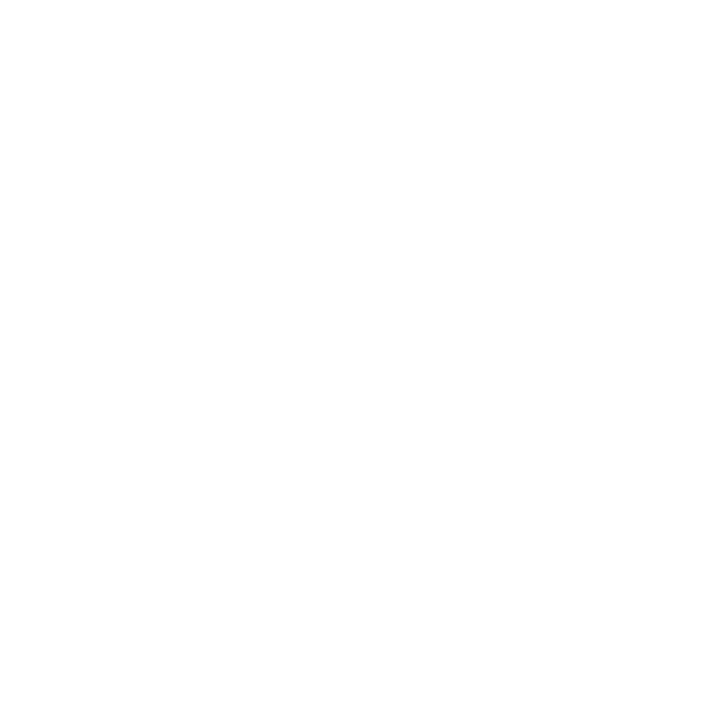 FLS Logo - FLS PERSONAL TRAINING CENTRE - FITTER, LEANER, STRONGER.