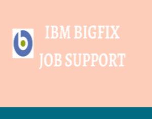 BigFix Logo - IBM Bigfix job support | IBM Bigfix on job support from India - VJS