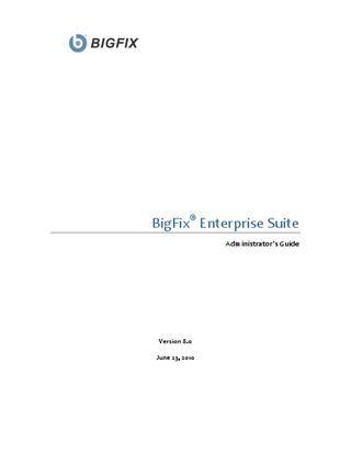 BigFix Logo - BigFix Enterprise Suite Administrator's Guide by Alfonso Martinez ...