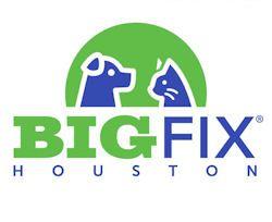 BigFix Logo - Love Your Pet Month