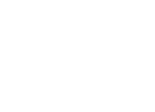 Allen Logo - Allen Institute | Understanding the complexities of bioscience