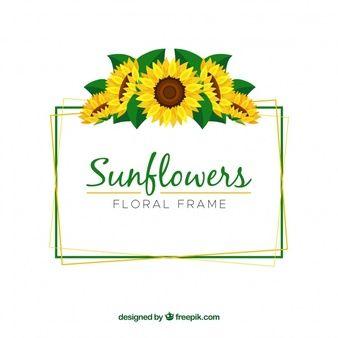 Sunflowers Logo - Sunflower Vectors, Photos and PSD files | Free Download