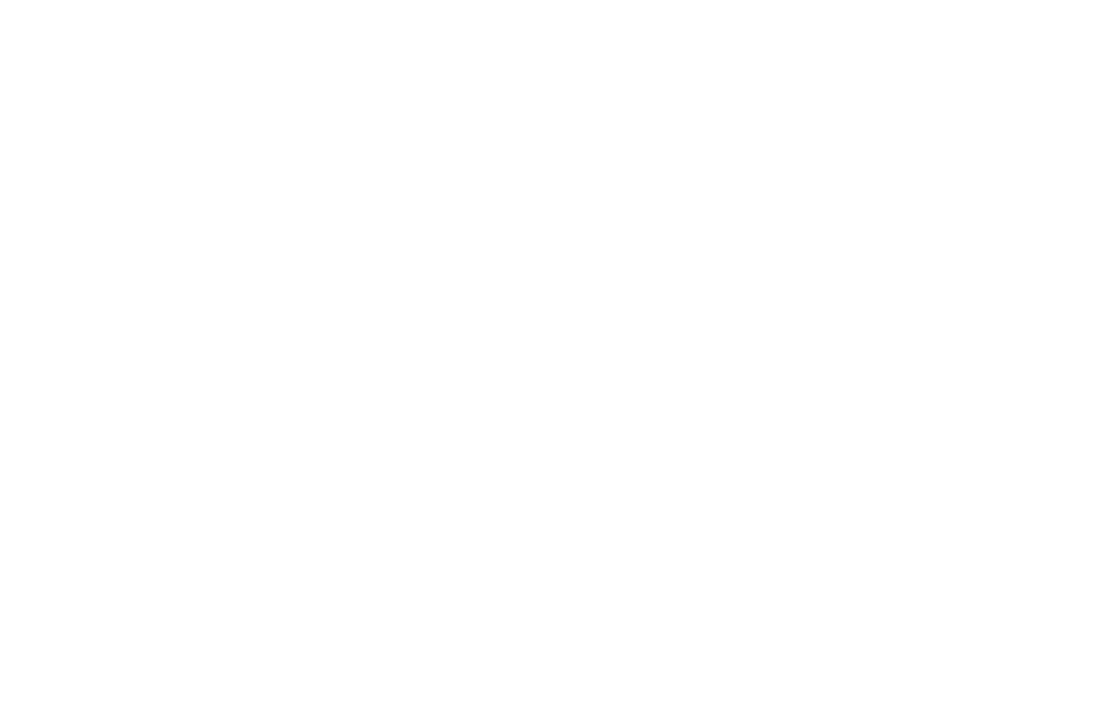 Pulaski Logo - Pulaski County Virginia