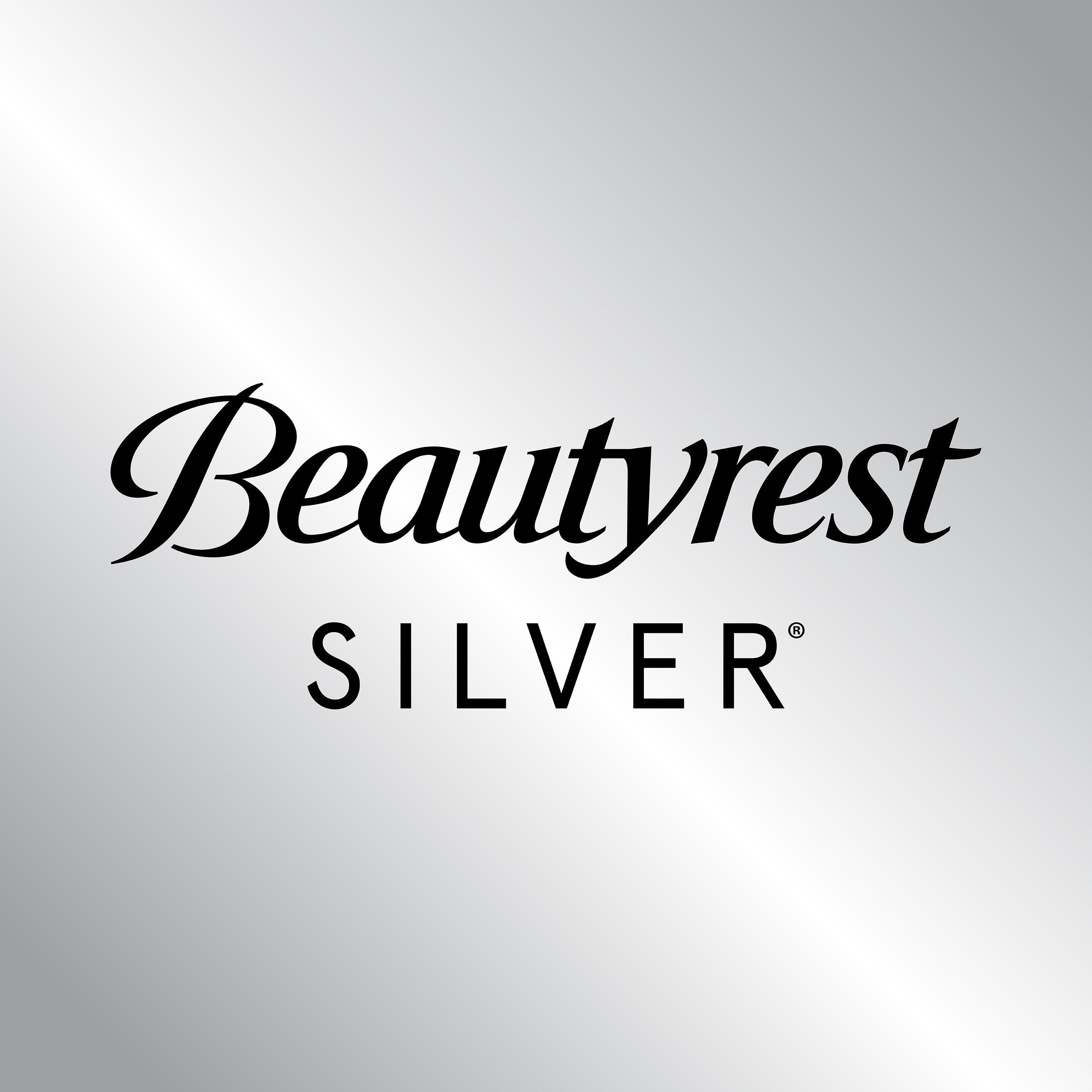 Beautyrest Logo - Beautyrest Silver Down Alternative Pillow Twin Pack in 20