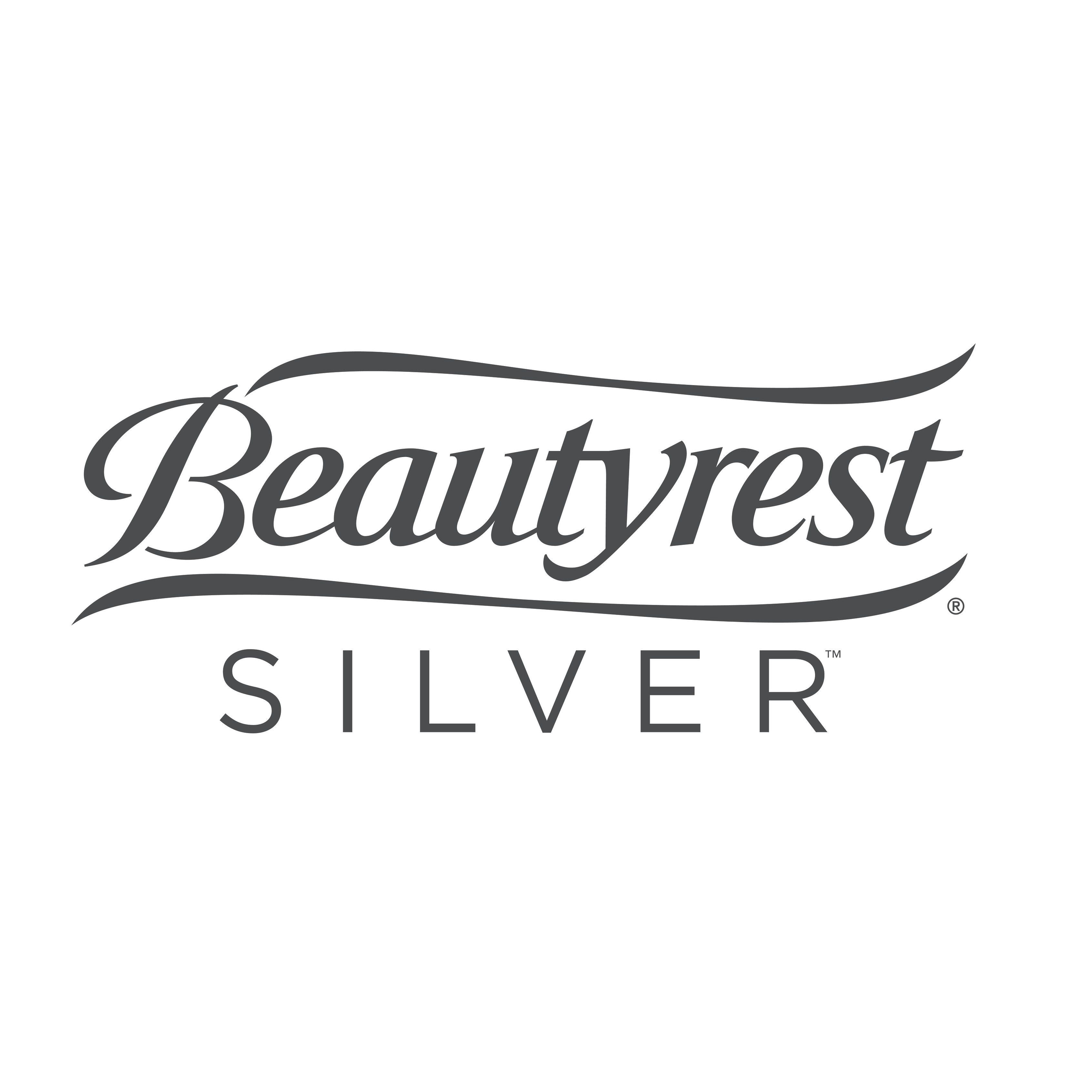 Beautyrest Logo - Beautyrest Silver 18-inch King Size Lumbar Supreme with Adjustable Tri-Zone  Lumbar Support Air Bed Mattress with Built-in Pump