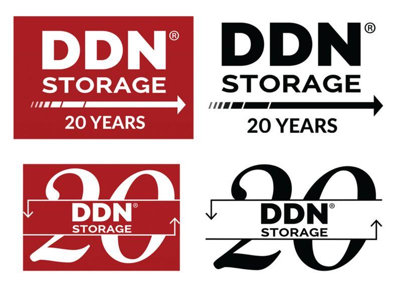 Ddn Logo - DDN Storage 20 Year Logo Example by Tara Kelly | Dribbble | Dribbble