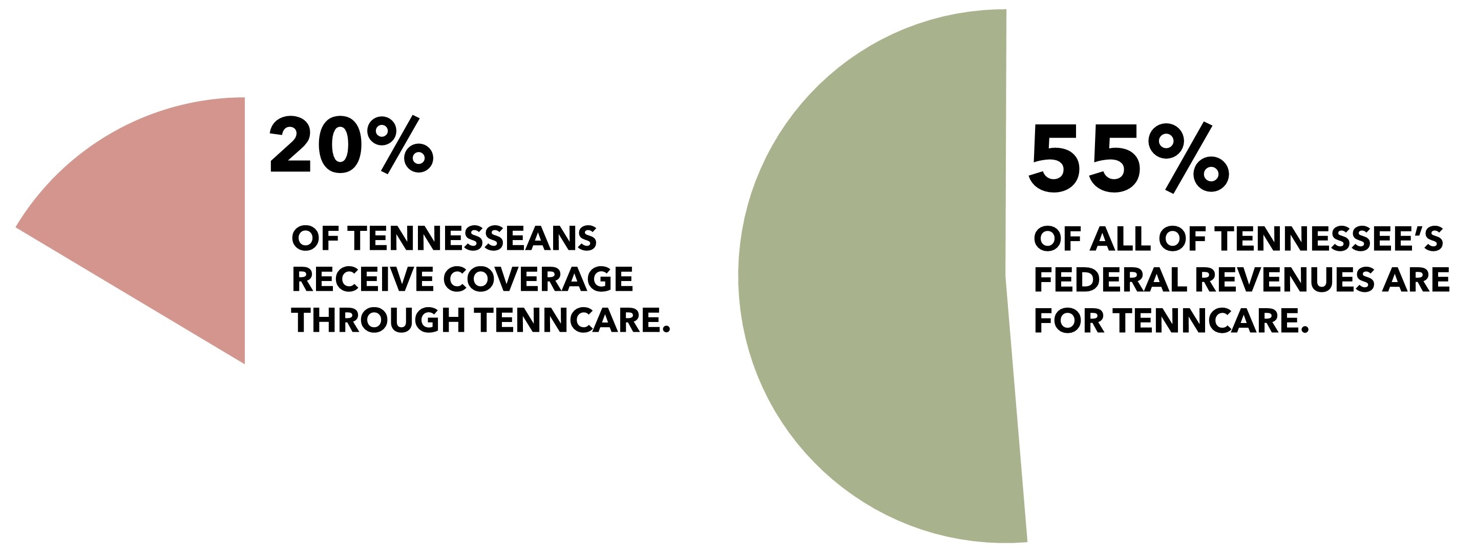 TennCare Logo - How U.S. House Medicaid Reforms Could Impact TennCare