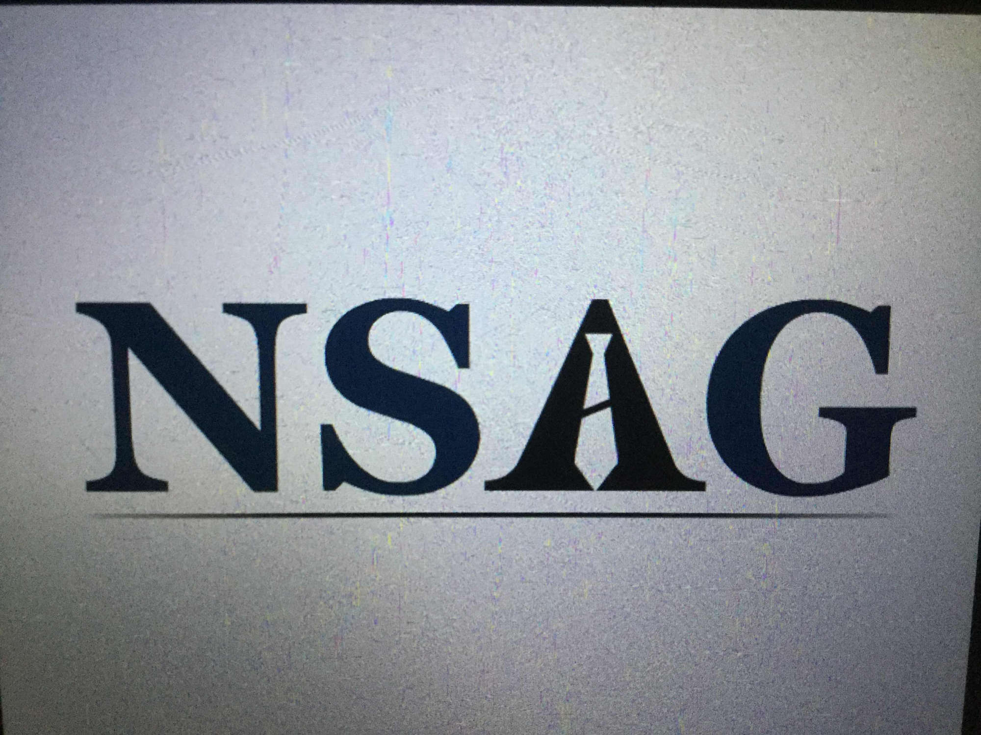 Nsag Logo - NSAG & Associates, Chawri Bazar - Finance Companies in Delhi - Justdial