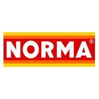 Norma Logo - logo-norma