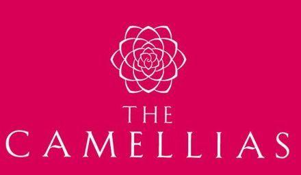 Camellia Logo - Image result for camellia logo | vitrina | Camellia, Logos, Artwork