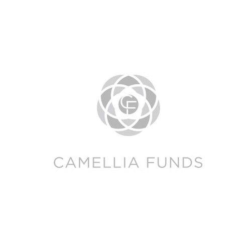 Camellia Logo - Classic Camellia Flower with an Edge for Investment Firm. Logo