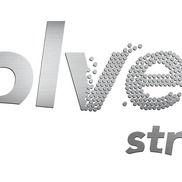 Palmco Logo - CEvO Solutions Inc (Palmco) - Helping Growth Stage Companies Grow ...