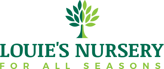 Nursery Logo - Home's Nursery