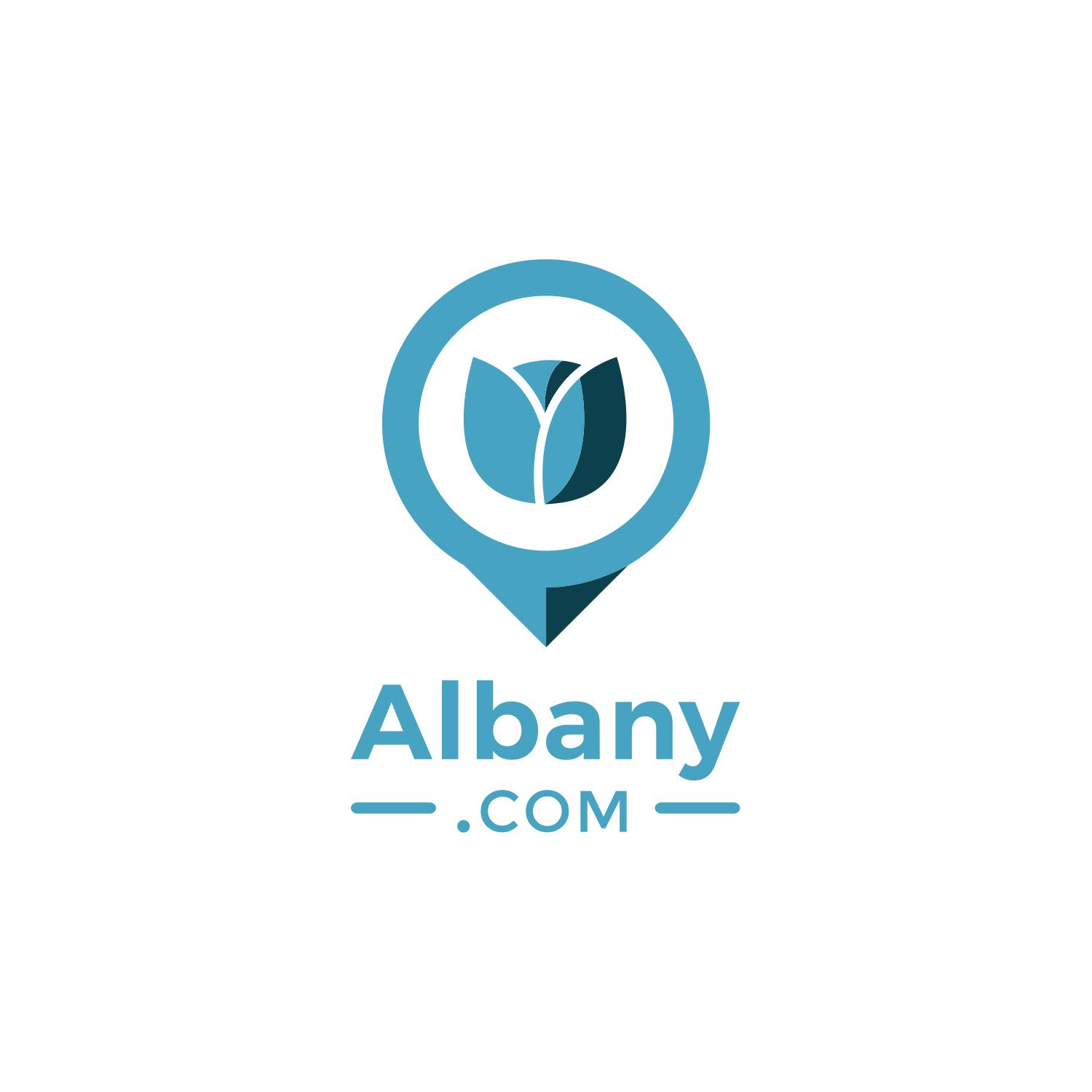Albany Logo - Albany.com Logo - Lark Street (BID) Business Improvement District ...