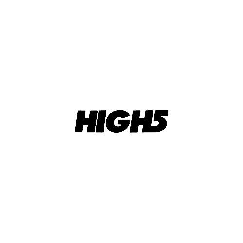 High5 Logo - High5 Logo Vinyl Decal