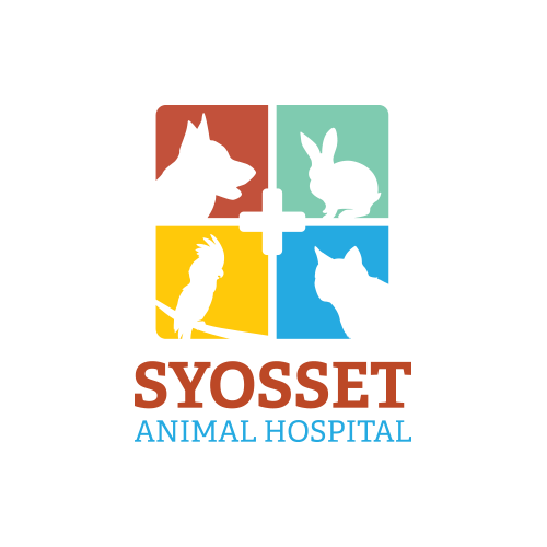 Veterinary Logo - Industry Leading Veterinary Logo and Brand Design by iVET360