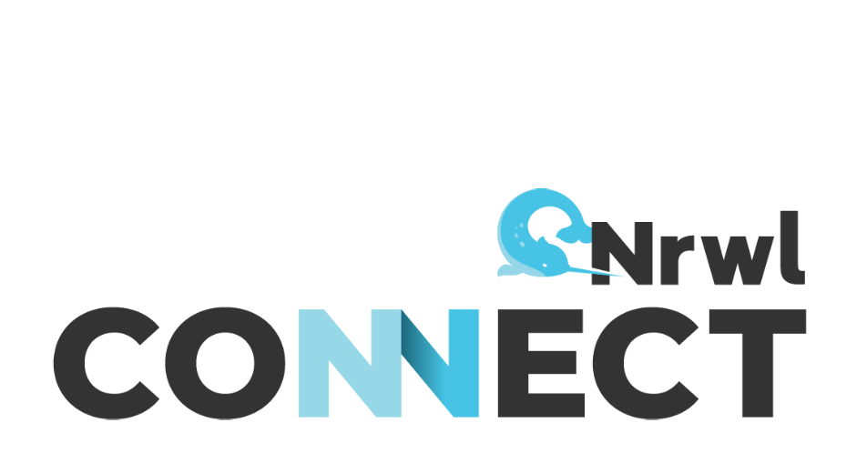 Connect Logo - Nrwl Connect