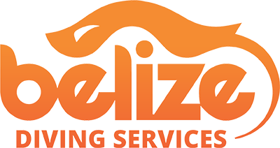 Bze Logo - Belize Diving Services | Caye Caulker Belize | Blue Hole Belize Diving