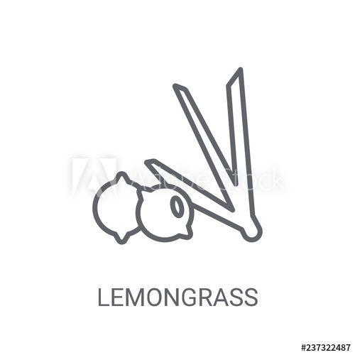 Lemongrass Logo - Lemongrass icon. Trendy Lemongrass logo concept on white background