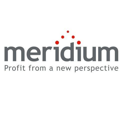 Meridium Logo - Pieter Wielemaker