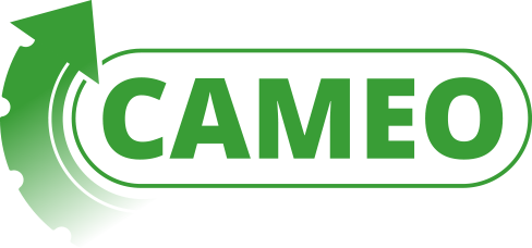 Cameo Logo - CAM | Tyre Trade Systems & Solutions