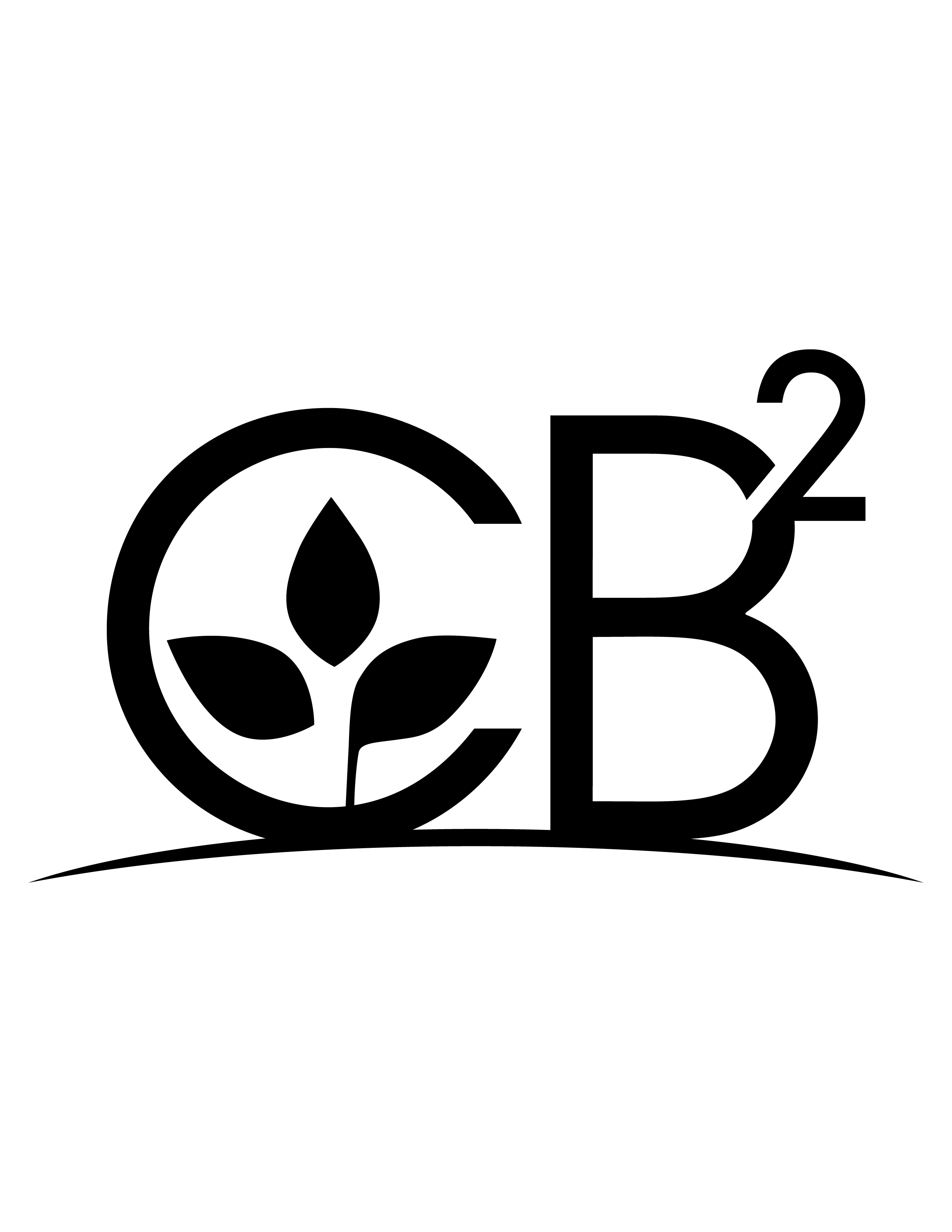 CB2 Logo - Center for Bioplastics and Biocomposites - Logos